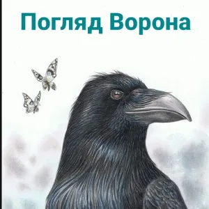 Погляд ворона